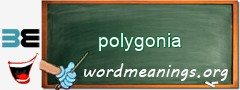 WordMeaning blackboard for polygonia